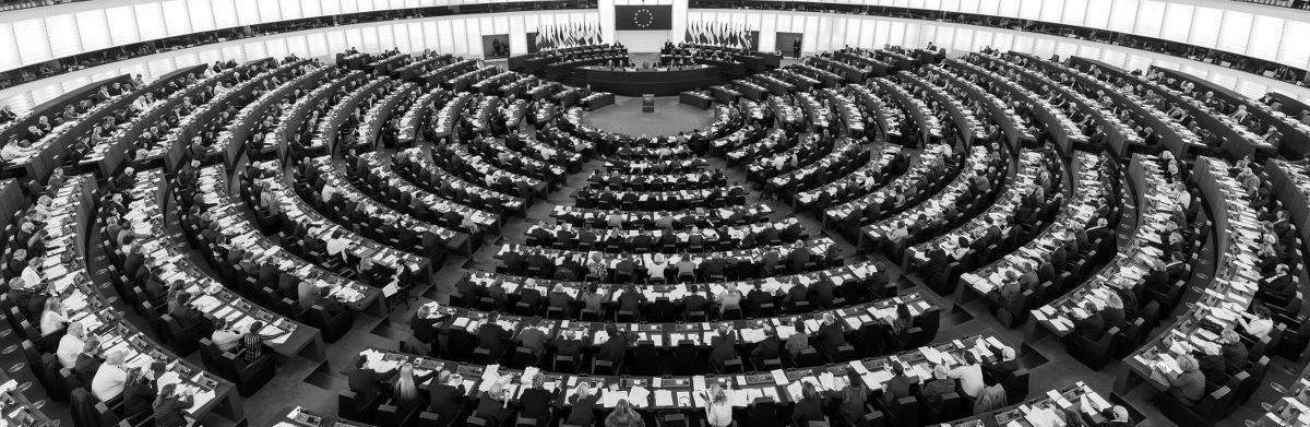 Who Won the European Parliament Elections?